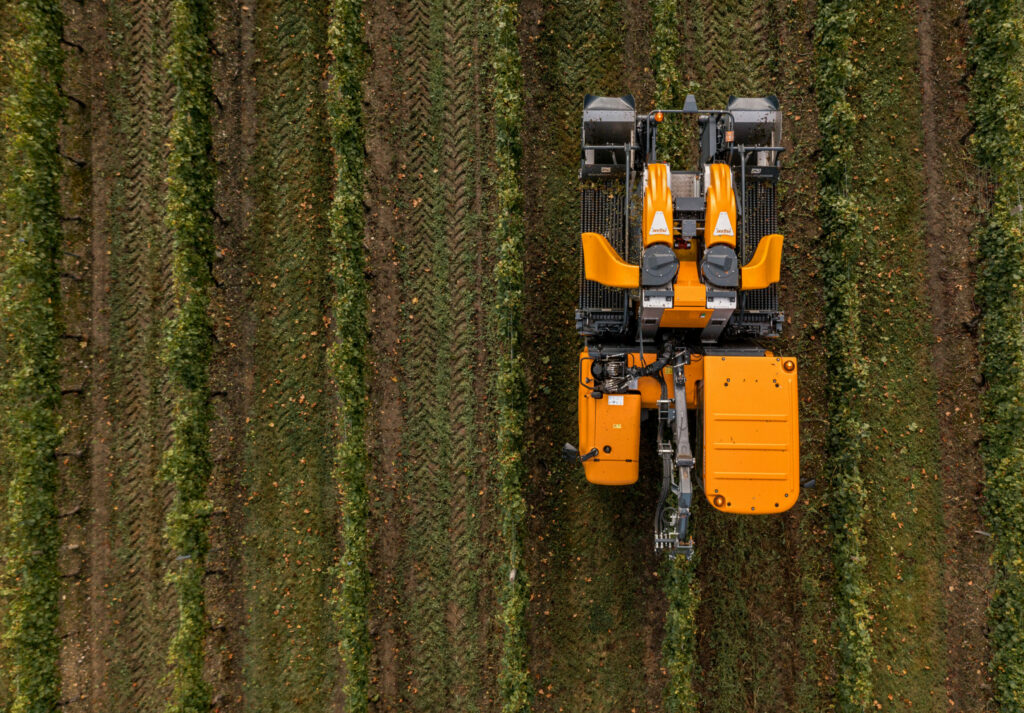 Une machine à vendanger orange dans un champs viticole