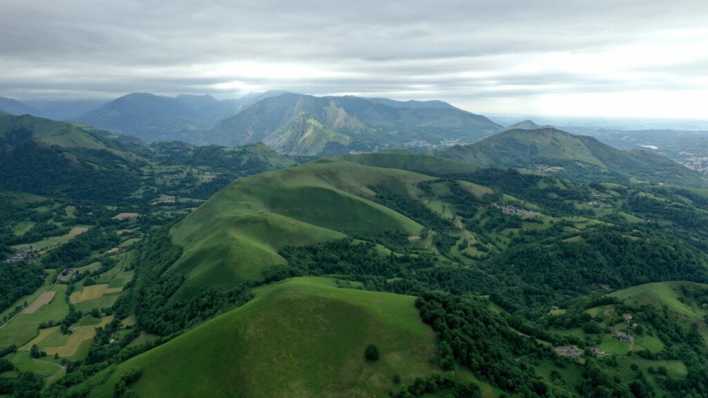 Paysage vallonné vert