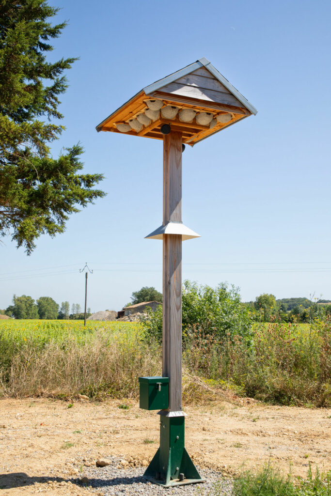 Nids à oiseaux dans la nature